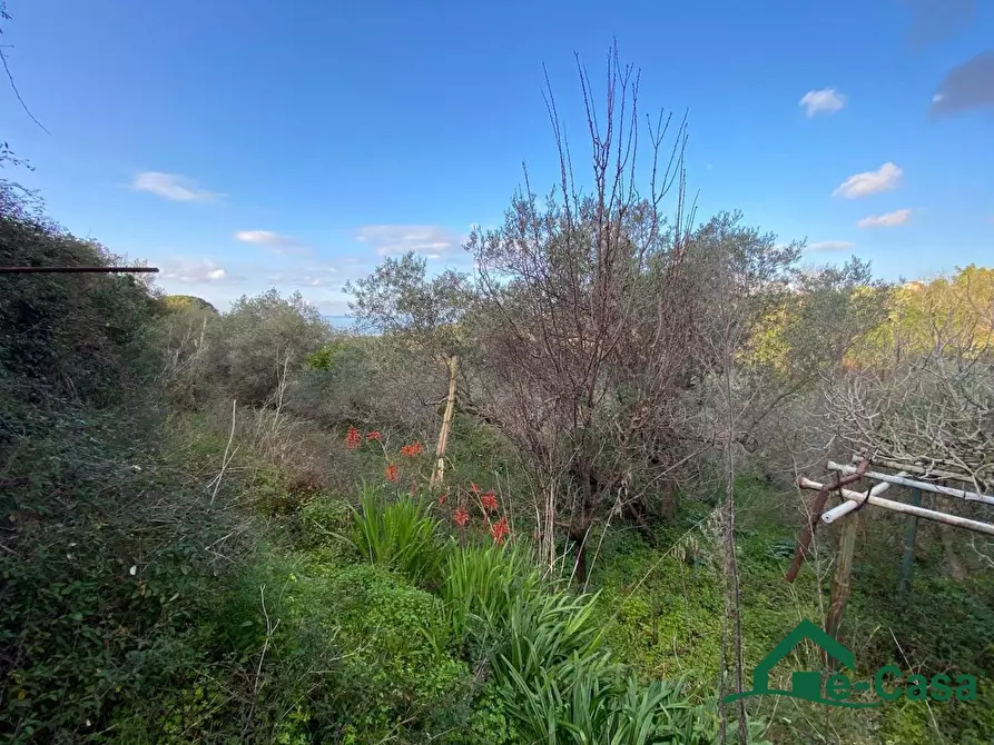 Immagine 4 di Terreno edificabile in vendita  a Messina