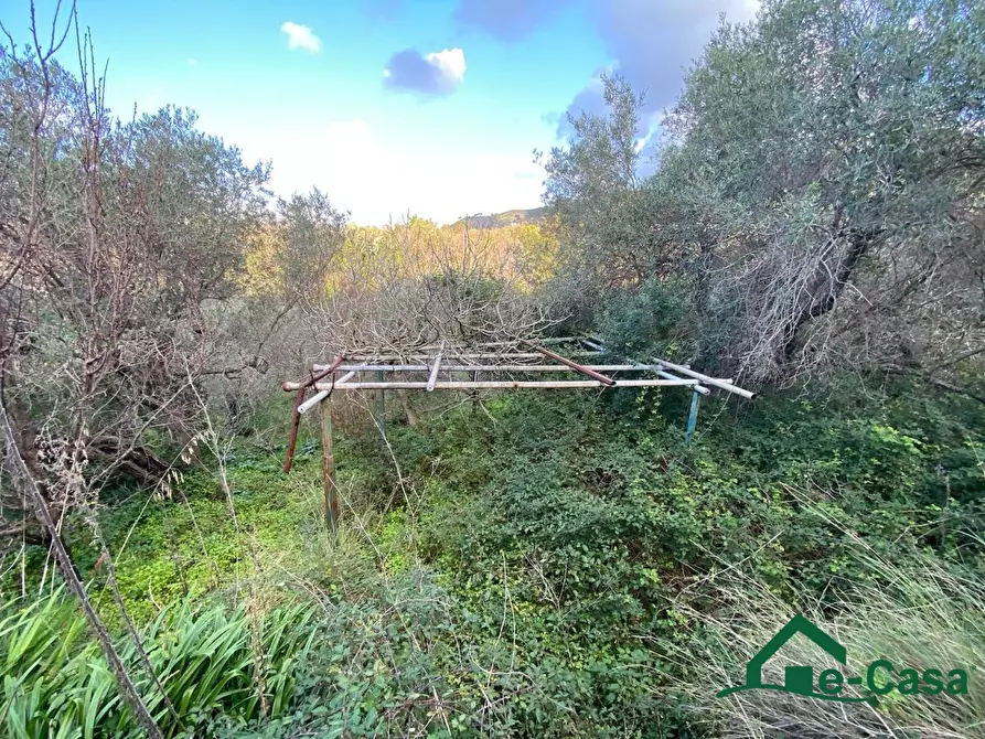 Immagine 5 di Terreno edificabile in vendita  a Messina