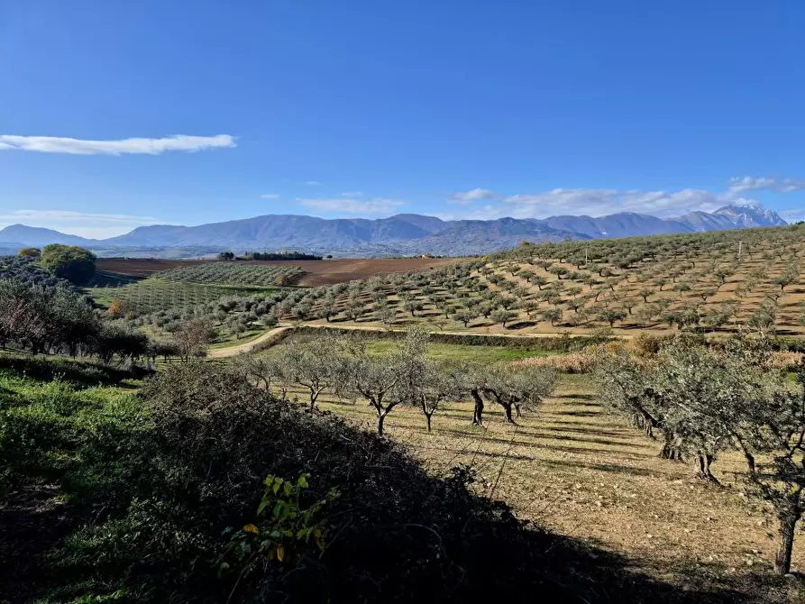 Immagine 3 di Terreno in vendita  a Loreto Aprutino