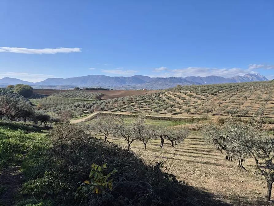 Immagine 1 di Terreno in vendita  a Loreto Aprutino