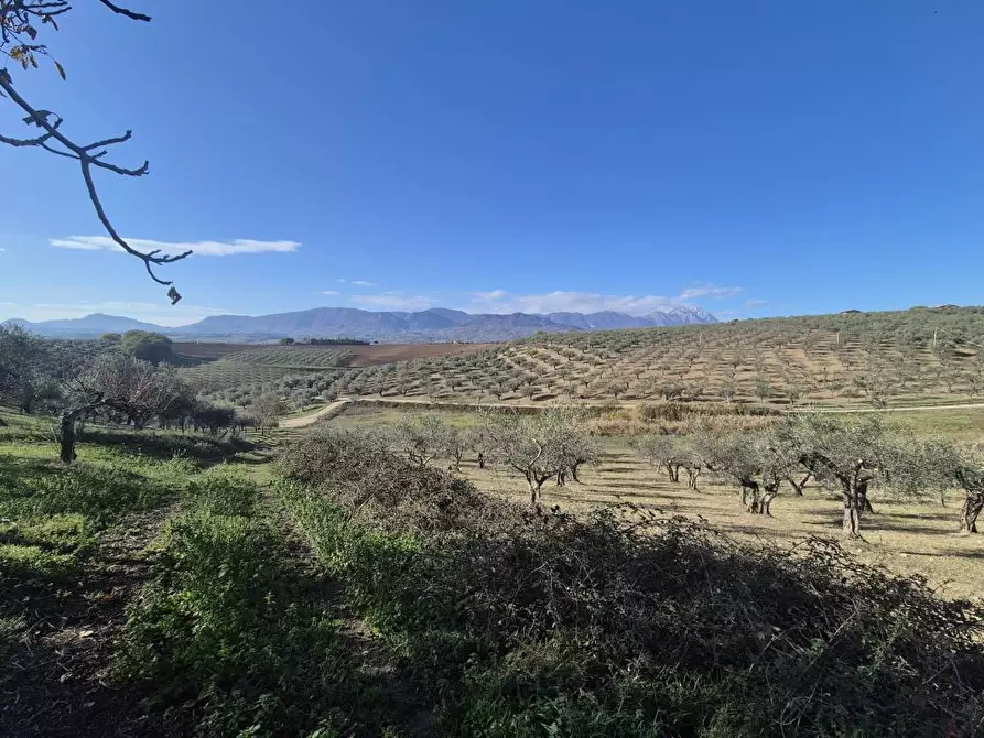 Immagine 4 di Terreno in vendita  a Loreto Aprutino