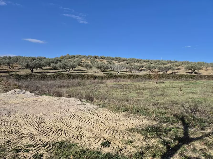 Immagine 10 di Terreno in vendita  a Loreto Aprutino
