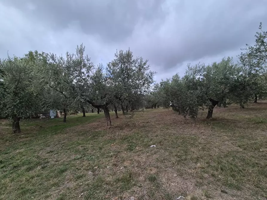 Immagine 1 di Terreno edificabile in vendita  a Loreto Aprutino