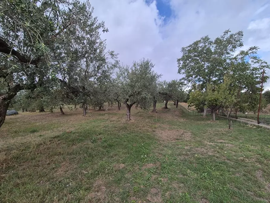 Immagine 9 di Terreno edificabile in vendita  a Loreto Aprutino