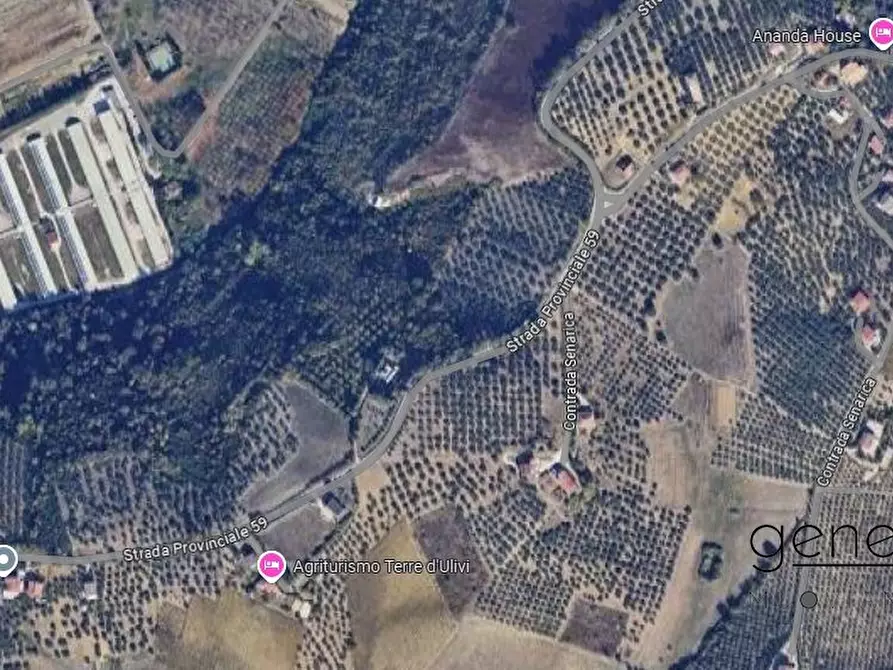 Immagine 3 di Terreno edificabile in vendita  a Moscufo