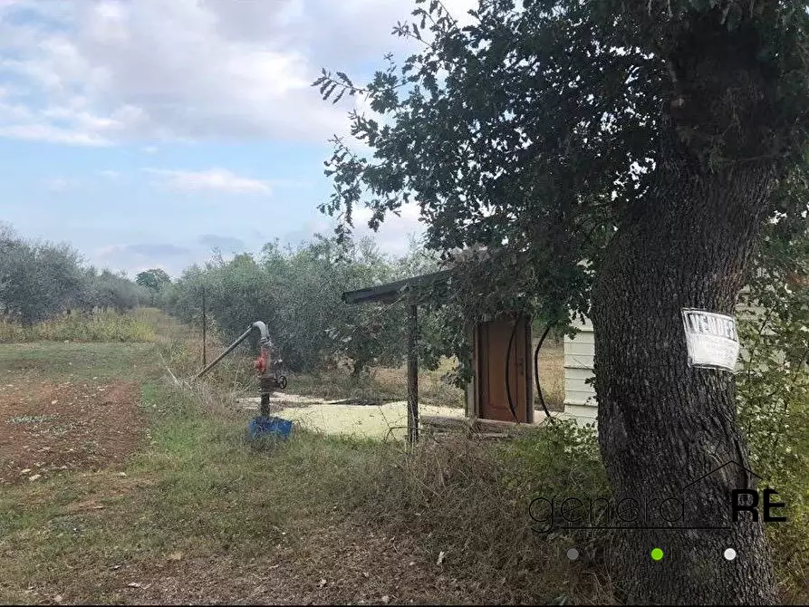 Immagine 3 di Terreno edificabile in vendita  a Cepagatti