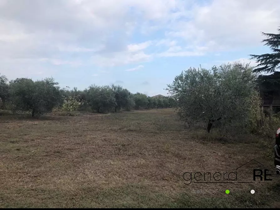 Immagine 4 di Terreno edificabile in vendita  a Cepagatti