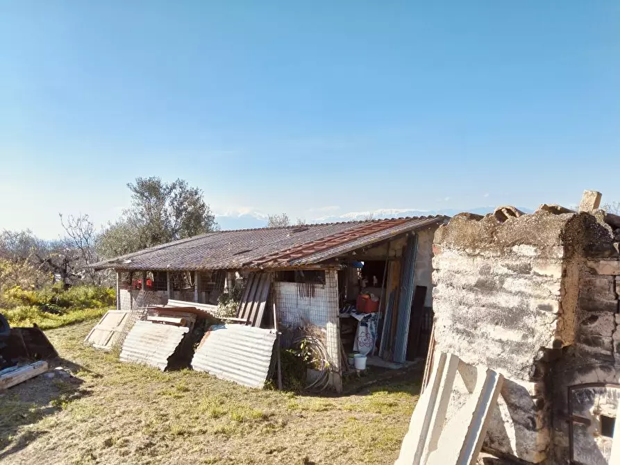 Immagine 6 di Terreno edificabile in vendita  4 a Moscufo