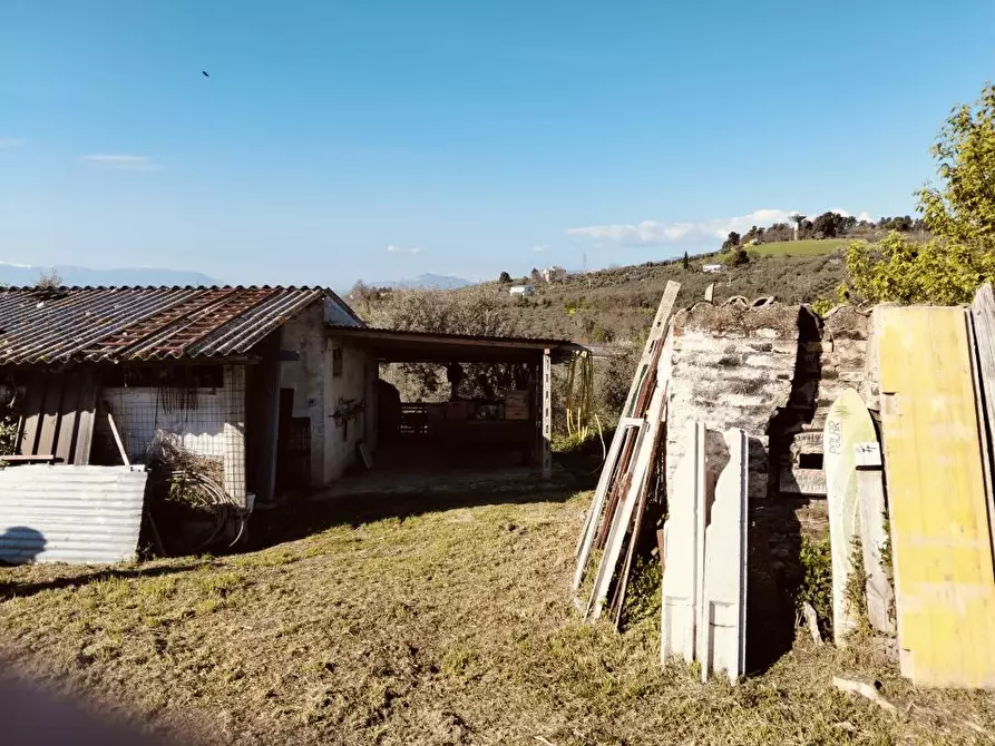Immagine 4 di Terreno edificabile in vendita  4 a Moscufo