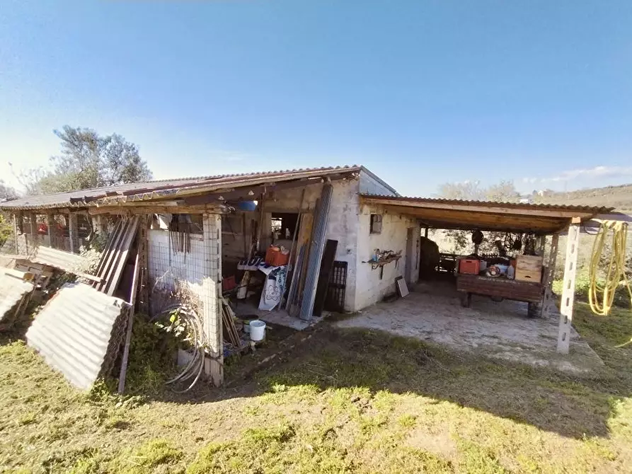 Immagine 3 di Terreno edificabile in vendita  4 a Moscufo