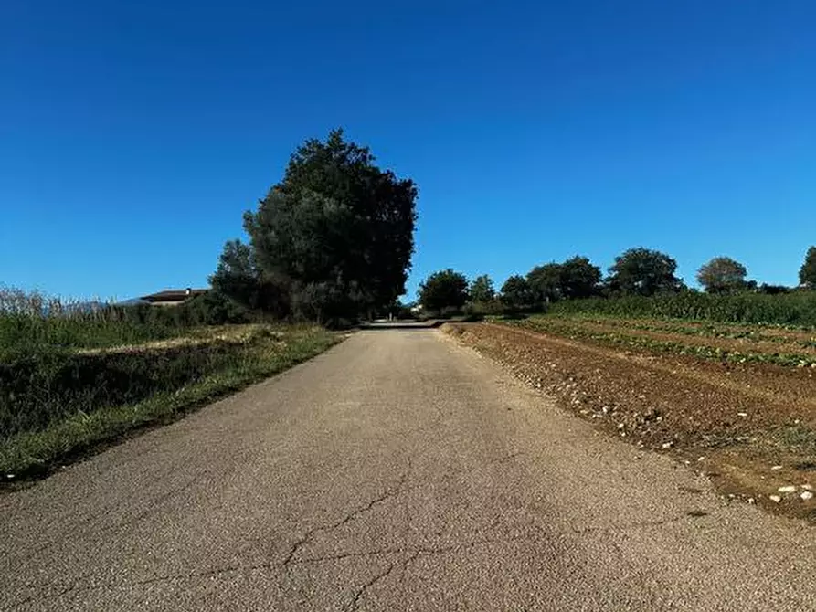 Immagine 7 di Terreno edificabile in vendita  a Rosciano