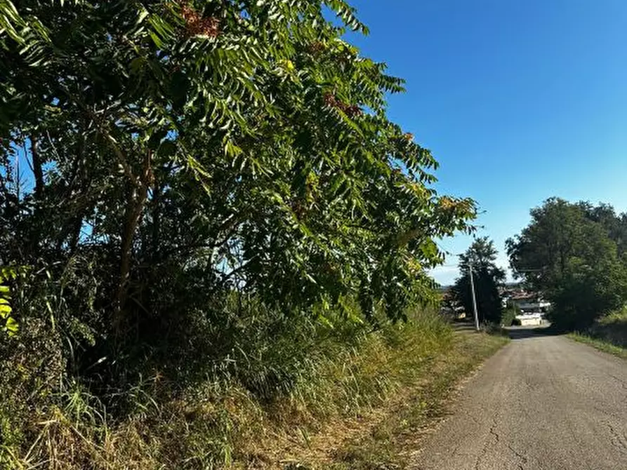 Immagine 3 di Terreno edificabile in vendita  a Rosciano