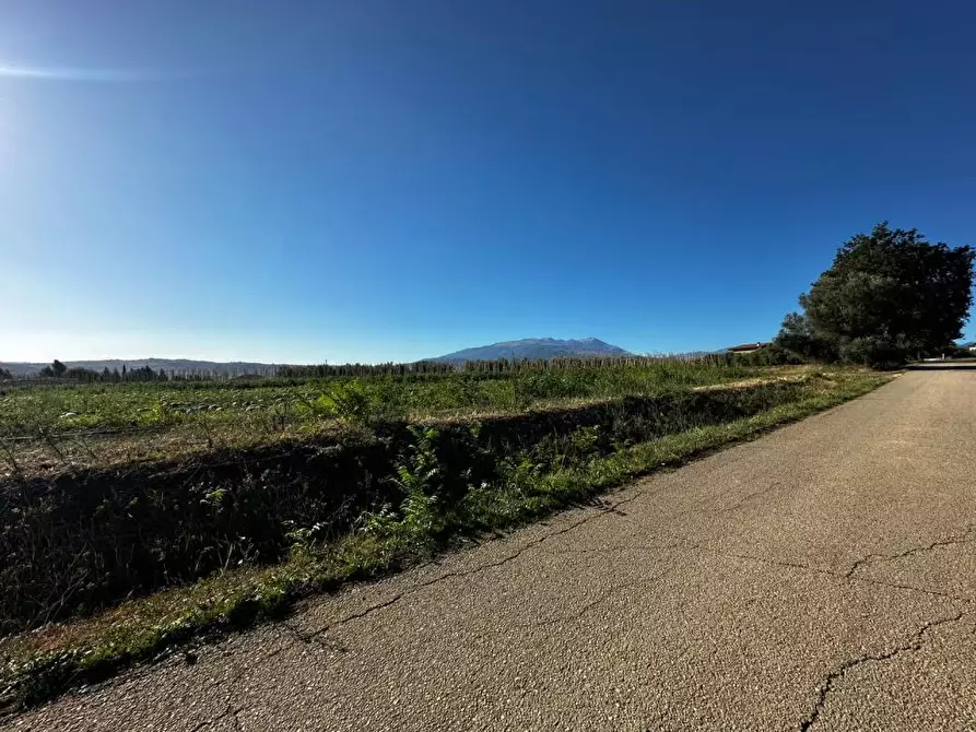 Immagine 9 di Terreno edificabile in vendita  a Rosciano