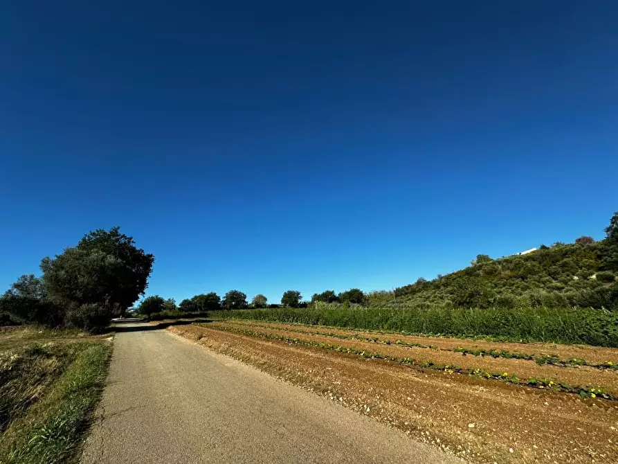 Immagine 6 di Terreno edificabile in vendita  a Rosciano
