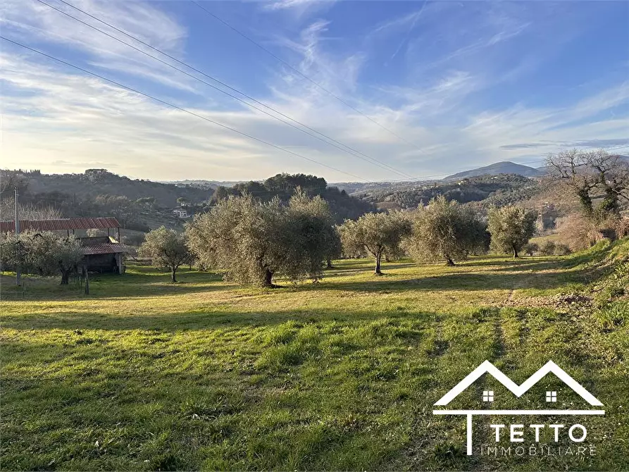 Immagine 10 di Terreno edificabile in vendita  SNC a Cantalupo In Sabina