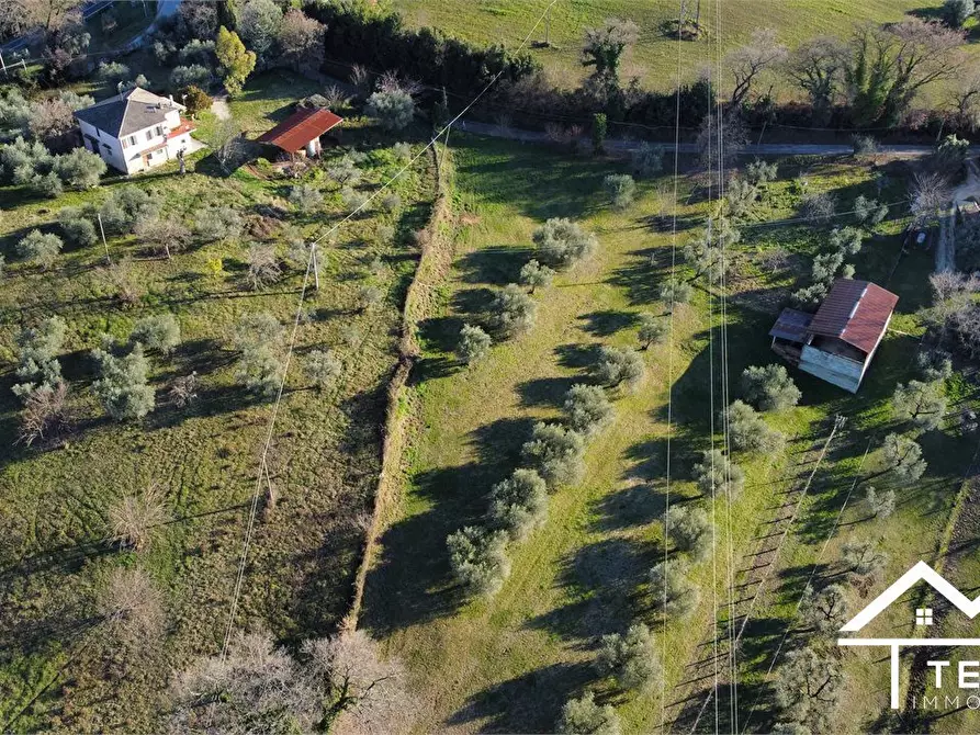 Immagine 6 di Terreno edificabile in vendita  SNC a Cantalupo In Sabina
