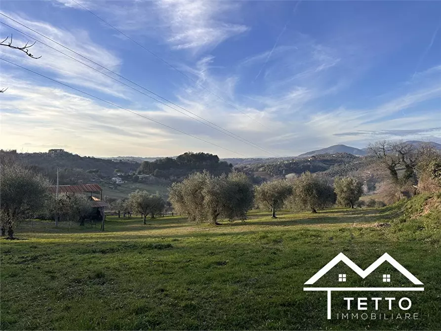 Immagine 3 di Terreno edificabile in vendita  SNC a Cantalupo In Sabina