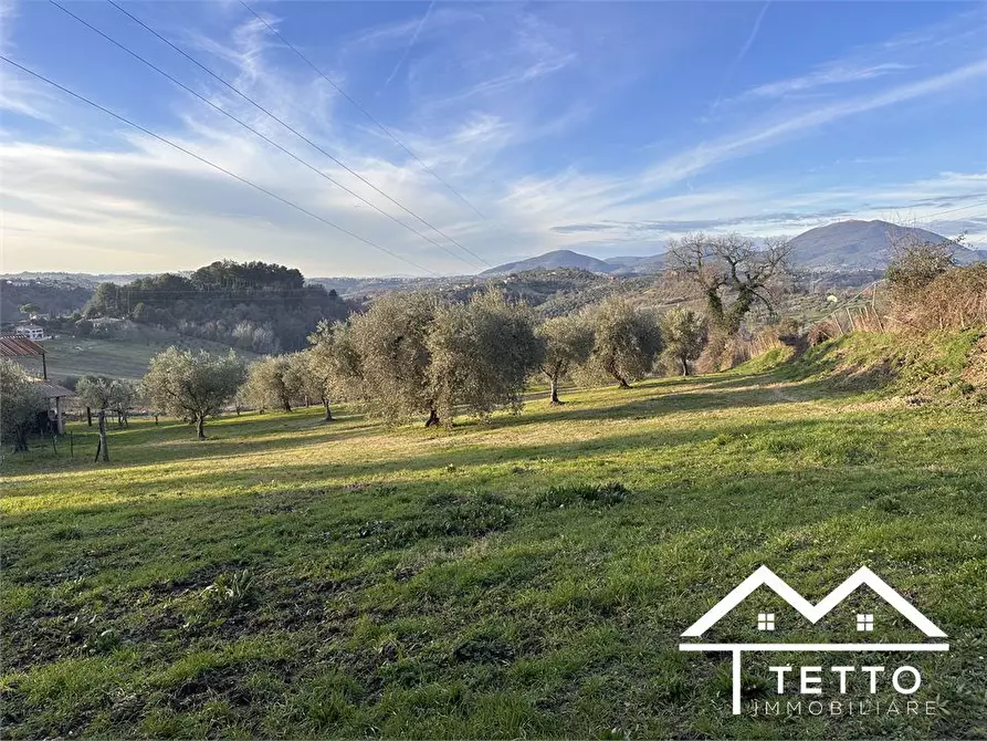 Immagine 9 di Terreno edificabile in vendita  SNC a Cantalupo In Sabina