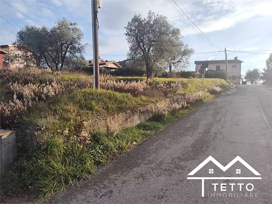 Immagine 3 di Terreno edificabile in vendita  snc a Poggio Mirteto
