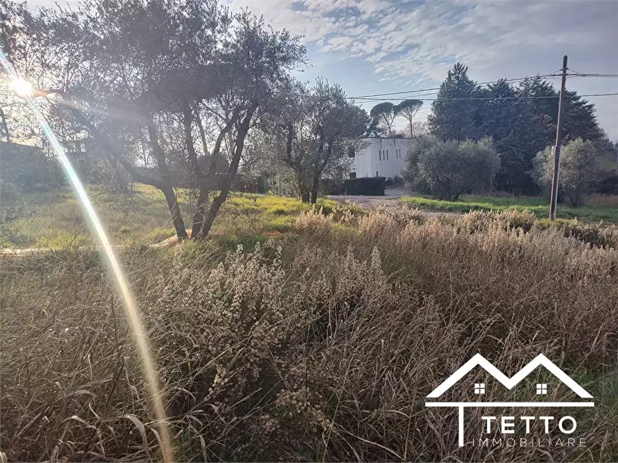 Immagine 10 di Terreno edificabile in vendita  snc a Poggio Mirteto