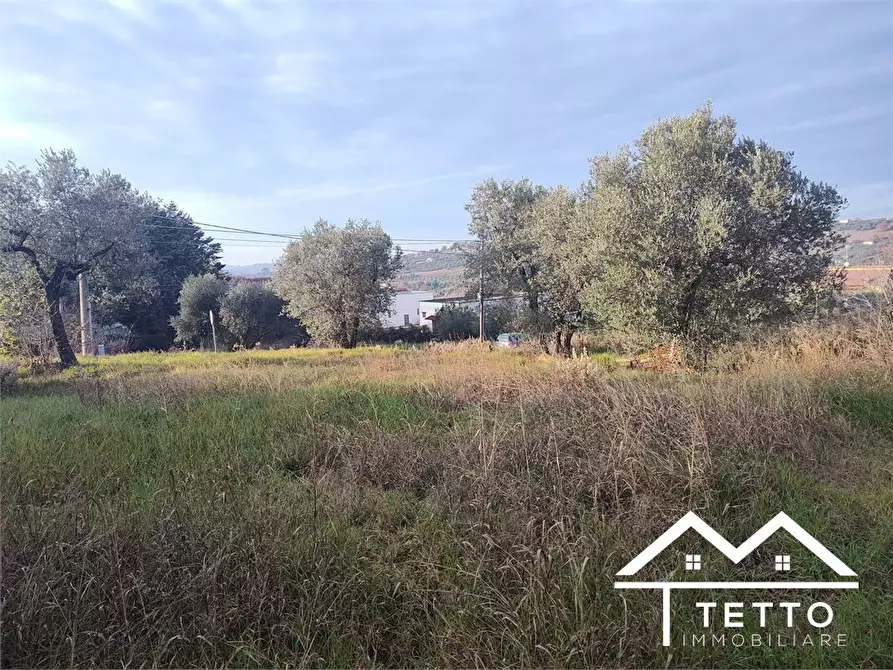 Immagine 9 di Terreno edificabile in vendita  snc a Poggio Mirteto