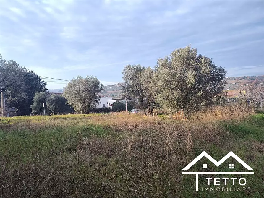 Immagine 8 di Terreno edificabile in vendita  snc a Poggio Mirteto