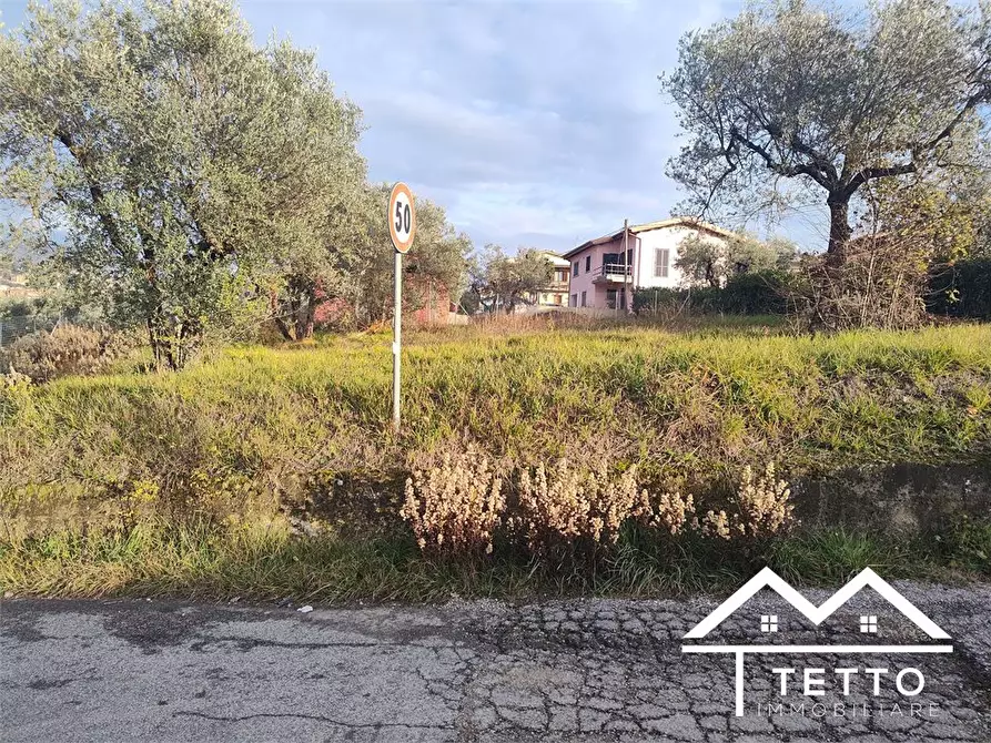 Immagine 4 di Terreno edificabile in vendita  snc a Poggio Mirteto