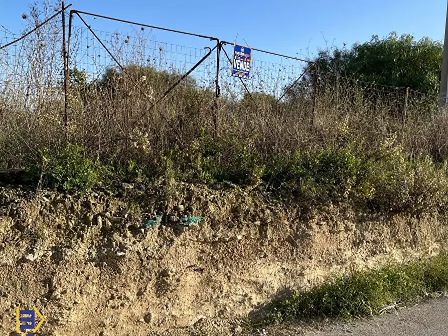 Immagine 3 di Terreno edificabile in vendita  a Pachino