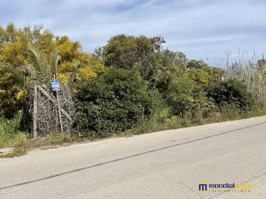Immagine 4 di Terreno edificabile in vendita  a Pachino