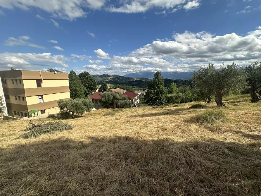Immagine 2 di Terreno edificabile in vendita  a Torricella Sicura