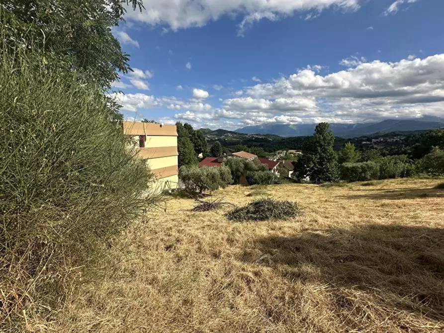 Immagine 8 di Terreno edificabile in vendita  a Torricella Sicura