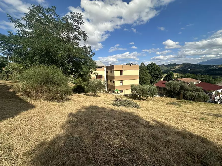 Immagine 5 di Terreno edificabile in vendita  a Torricella Sicura