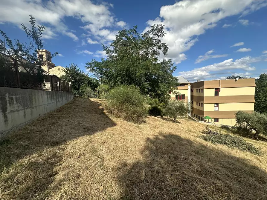 Immagine 4 di Terreno edificabile in vendita  a Torricella Sicura