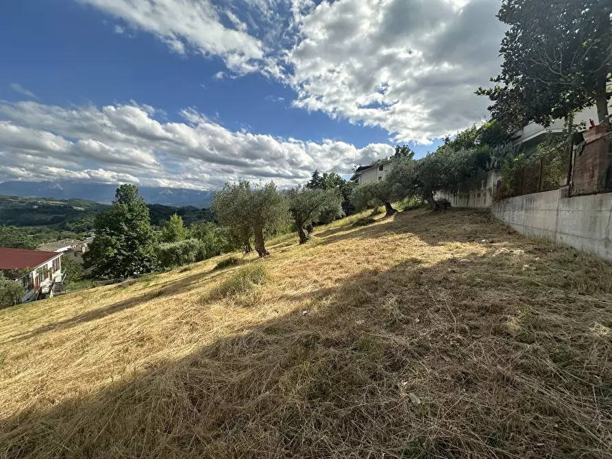 Immagine 3 di Terreno edificabile in vendita  a Torricella Sicura