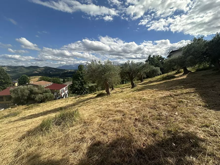 Immagine 7 di Terreno edificabile in vendita  a Torricella Sicura