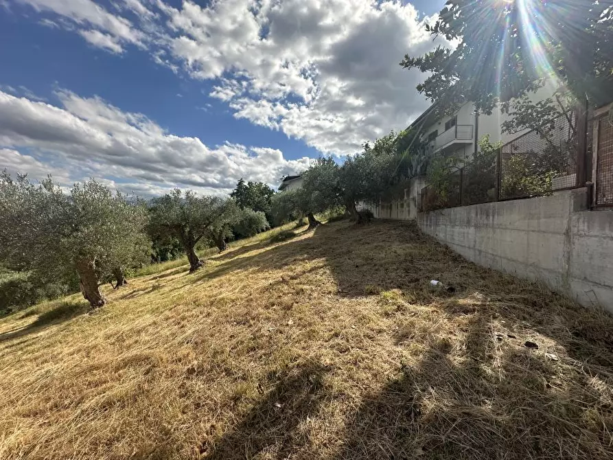 Immagine 6 di Terreno edificabile in vendita  a Torricella Sicura