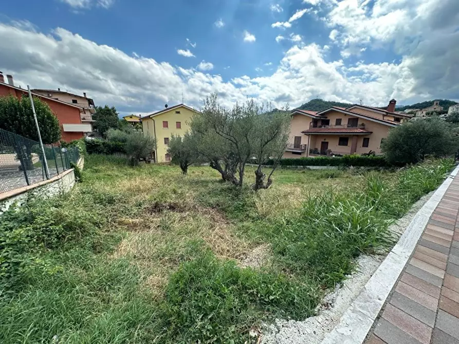 Immagine 6 di Terreno edificabile in vendita  64010 a Torricella Sicura