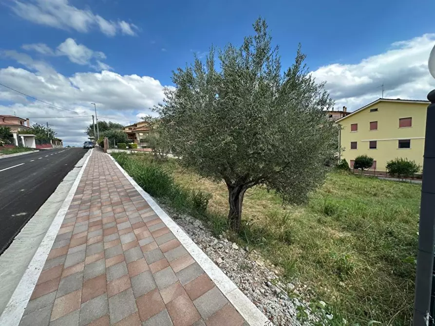 Immagine 3 di Terreno edificabile in vendita  64010 a Torricella Sicura
