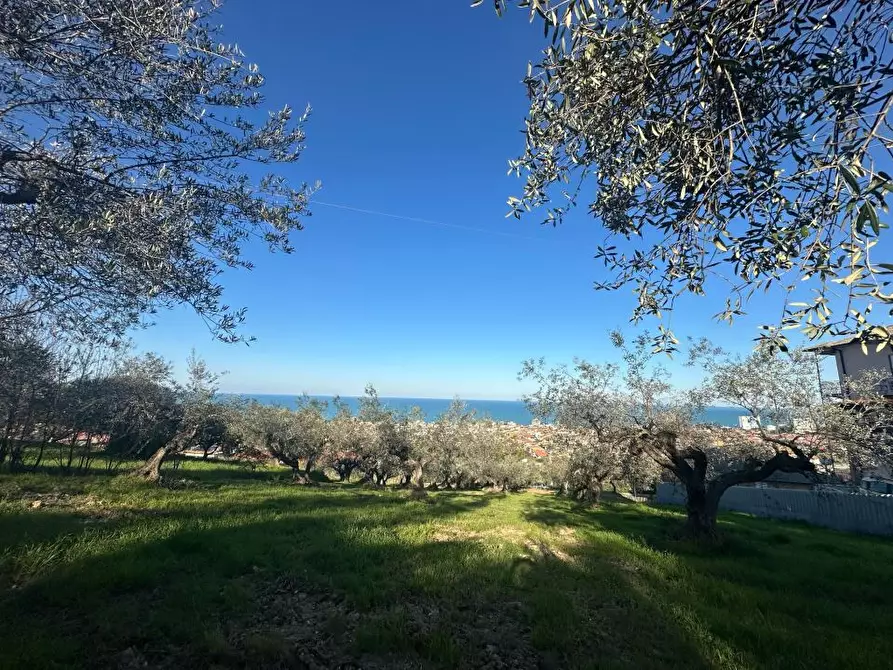 Immagine 2 di Terreno edificabile in vendita  a Silvi