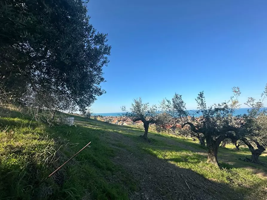 Immagine 3 di Terreno edificabile in vendita  a Silvi