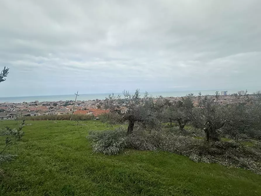 Immagine 7 di Terreno edificabile in vendita  a Silvi