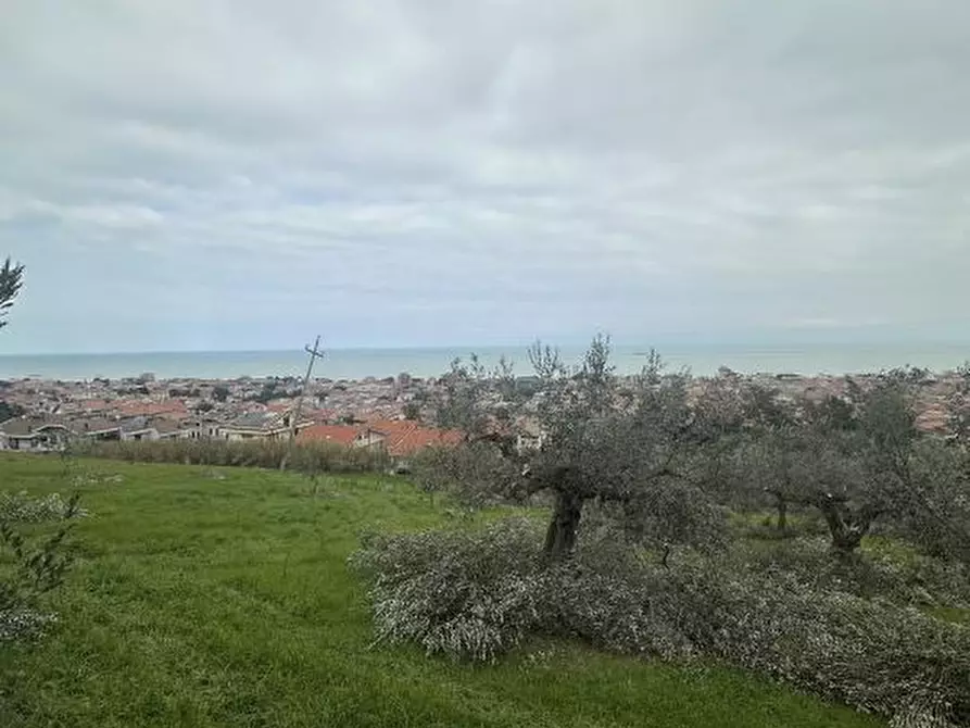 Immagine 8 di Terreno edificabile in vendita  a Silvi
