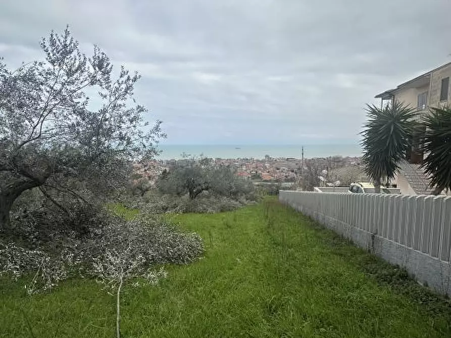 Immagine 10 di Terreno edificabile in vendita  a Silvi