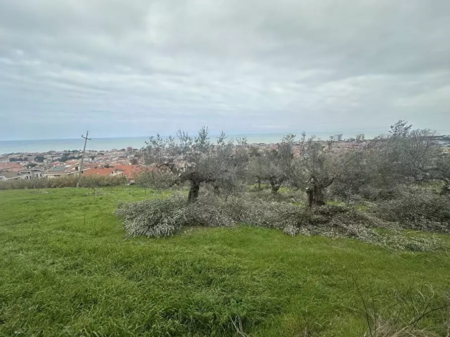 Immagine 5 di Terreno edificabile in vendita  a Silvi