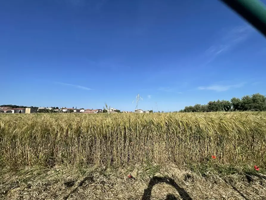 Immagine 5 di Terreno edificabile in vendita  a Mosciano Sant'angelo