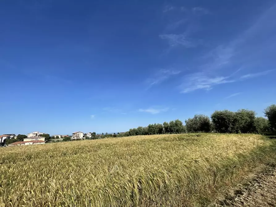 Immagine 2 di Terreno edificabile in vendita  a Mosciano Sant'angelo