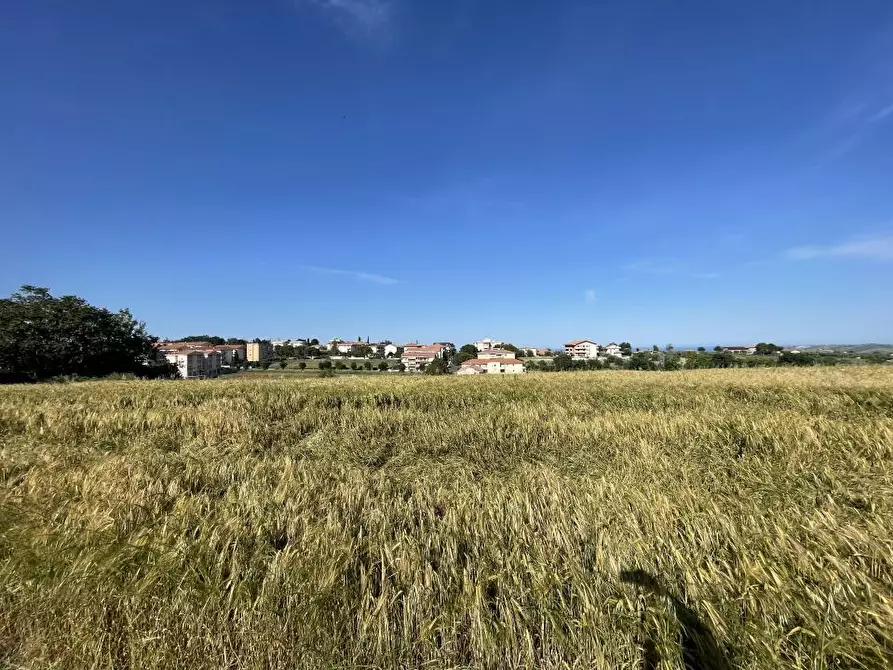 Immagine 9 di Terreno edificabile in vendita  a Mosciano Sant'angelo