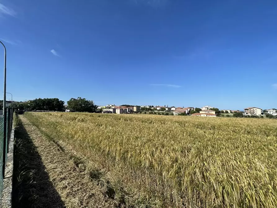 Immagine 7 di Terreno edificabile in vendita  a Mosciano Sant'angelo