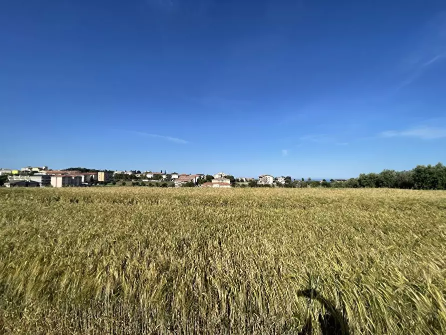 Immagine 8 di Terreno edificabile in vendita  a Mosciano Sant'angelo