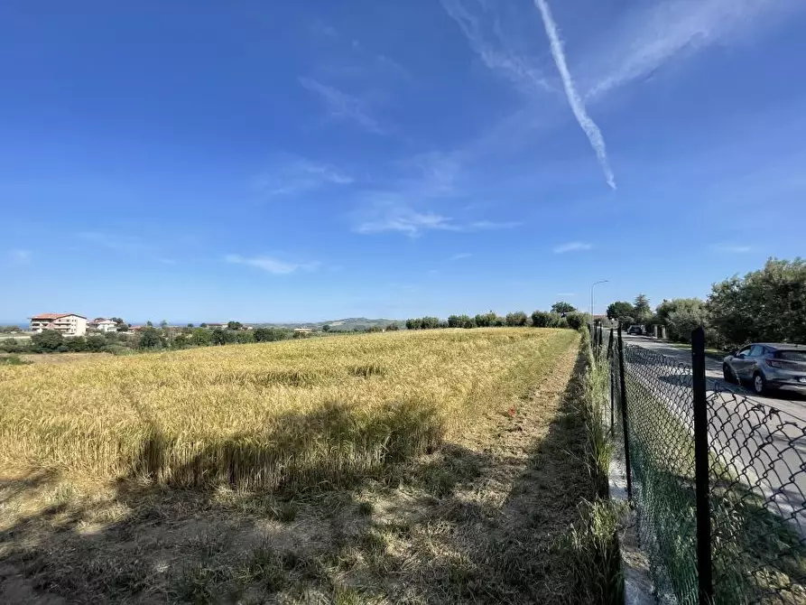 Immagine 6 di Terreno edificabile in vendita  a Mosciano Sant'angelo